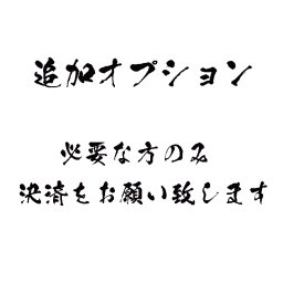 追加オプション