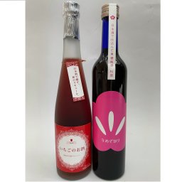 松盛　黒糖梅酒・いちご酒セット【茨城県の地酒】