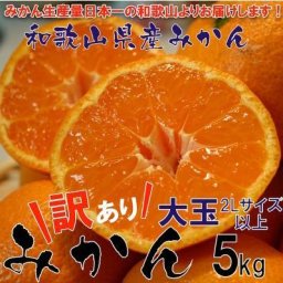 【予約】 和歌山県産 訳ありみかん 大玉（2Lサイズ以上） 5kg 【送料無料】 10月中旬以降より発送開始
