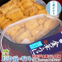 【自宅用】 お中元 訳あり 金華うに 宮城県女川産 計100g(50g×2パック) ミョウバン無添加 キタムラサキウニ ※冷凍 片倉商店｜ お取り寄せ グルメ 贈物 御中元 N02-044815