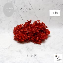 メール便で発送 大地農園！プリザーブドフラワー 「ソフトアナベルアジサイ レッド 1輪分」 プリザ アジサイ 紫陽花 花材 ハーバリウム おしゃれ かわいい プレゼント 贈り物 オオチノウエン アナベルアジサイ・ヘッド