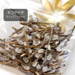 ネコヤナギ ドライフラワー 花材 【約10ｃｍカット】