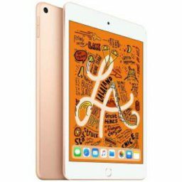 [新品未開封] Apple アップル 2019年 iPad mini 7.9インチ 第5世代 Wi-Fi 256GB ゴールド MUU62J/A 4549995066302