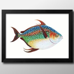 海洋生物 ビンテージイラスト A3 サイズ ポスター アート おしゃれ 絵画 インテリア 北欧 イラスト マット紙 艶消し アートパネル 額 フレーム デザイン 壁掛け ギフト 新築祝い ディスプレイ 引越し祝い　新生活　空間デザイン 