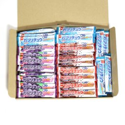 (全国送料無料) 明治チューインガム ガブリチュウセット (3種・計45コ) おかしのマーチ メール便 (omtmb7221)