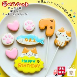 ＼送料無料／アイシングクッキー いたずら 猫［☆B4 いたずら猫(8)］ バースデー セット クッキー お菓子 ケーキデコレーション 誕生日 手作り 名入れ可 数字クッキー ハチワレ 猫 肉球 ハート