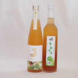 笑顔になるリキュール2本セット(純米吟醸酒仕込梅酒 うめとろ) 500ml×2本