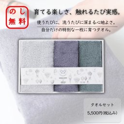のし・包装紙ラッピング無料 驚くほど軽い 日本製 泉州タオルセット 育てるタオル ギフト お歳暮 お年賀 出産祝い 結婚祝い 内祝い 快気祝い 香典返し ご挨拶 御礼 暑中見舞い お返し ふわふわ 吸水 贈り物に最適