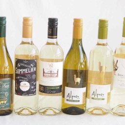 爽やかな酸味のチリ辛口白ワイン 6本セット(フルロッティ ソムリエ シャルドネ クラシック ソーヴィニヨン ブラン デル スール ソーヴィニヨン ブラン アルパカ ソーヴィニヨン ブラン アルパカ シャルドネ セミヨン フエンテ フルータ シャルドネ)