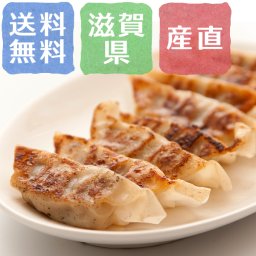 【送料無料】近江牛100％ 近江牛餃子 15個入×4箱【誕生日 結婚祝い 出産祝い 還暦祝い 結婚記念日 送別会 お祝い 引越し祝い 新築祝い 初節句 古希 喜寿 傘寿 お返し 内祝い お見舞い 快気祝い 金婚式 銀婚式 パーティー 景品 賞品 グルメ 母 父 女性 男性 両親 友達 親戚 上司 先輩 後輩 家族 子供 大人 彼氏 彼女 夫婦】【お歳暮 ハロウィン】