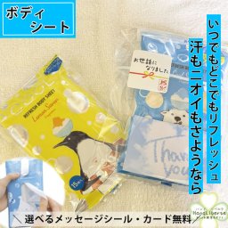 夏限定 暑さ対策 熱中症対策 ボディシート 汗拭きシート プチギフト 夏ギフト 実用的 敬老の日 かわいい 冷感 おしゃれ 雑貨 プレゼント 夏 クール 涼しい 保冷 アイス 運動会 キャンプ 誕生日 熱中症対策グッズ 子供 親子 女性 男性