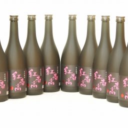 中野BC 紀州梅酒 紅南高(和歌山県) 720ml×9本