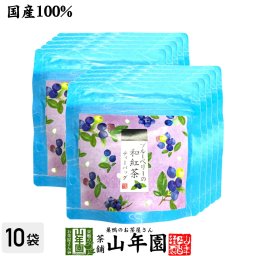 【国産紅茶】ブルーベリーの和紅茶 2g×5パック×10袋セット 静岡県産紅茶 ブルーベリーティ 国産紅茶 日本茶 ブルーベリー ティーバッグ 紅茶 ティーパック ダイエット ギフト プレゼント 内祝い お返し 敬老の日 2026 プチギフト お茶 男性 女性