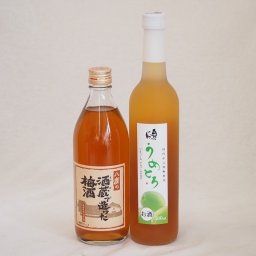 果実リキュール2本セット(国産梅のうめとろ 酒蔵で造った梅酒) 500ml×2本
