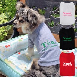 ロゴ ドッグ用Tシャツ XXL-3XLサイズ ペット 犬服 犬の服 名入れ 名前入り 名入り 名前入り 半袖 春 夏 Tシャツ おしゃれ かわいい 犬 飼い主 服 好き プレゼント 誕生日 小型犬 中型犬 チワワ トイプードル ポメラニアン マルチーズ マルプー ダックスフンド