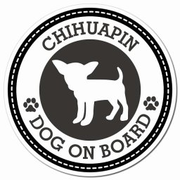 CHIHUAPIN チワピン ブラック 肉球 カーサイン 車 マグネットステッカー 犬 マグネット 強力 直径13cm 丸型 おしゃれ かわいい ドラレコステッカー 安全対策 危険運転 煽り運転 アニマル 動物 犬種別 屋外 防水 屋内 肉球マーク