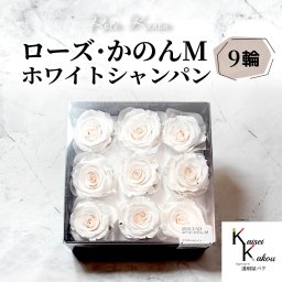 大地農園 「ローズかのんM ホワイトシャンパン 9輪(1箱)」 プリザーブドフラワー バラ プリザ 花材 ハーバリウム おしゃれ かわいい プレゼント 贈り物 オオチノウエン
