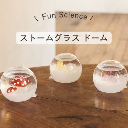 Fun Science ストームグラス ドーム