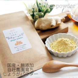 国産 生姜粉末 20g メール便 生姜 ジンジャー 乾燥 なまため 生姜パウダー 送料込 祝 ギフト sale アウトレット お試し 生姜パウダー ショウガ湯 母の日