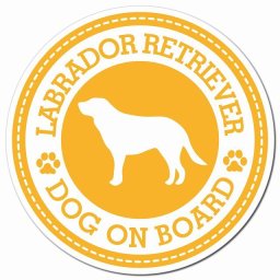 LABRADOR RETRIEVER ラブラドールレトリバー イエロー 肉球 カーサイン 車 マグネットステッカー 犬 マグネット 強力 直径13cm 丸型 おしゃれ かわいい ドラレコステッカー 安全対策 危険運転 煽り運転 アニマル 動物 犬種別 屋外 防水 屋内 肉球マーク