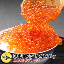 いくら 国産 イクラ 醤油漬け 1kg 250g×4 最高級3特グレード 2024年新物 国産の秋鮭から丹念にほぐした宝石のようなイクラ 【敬老の日/ギフト/2026/プレゼント/贈答】