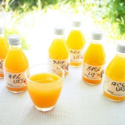 お歳暮 和歌山 伊藤農園 100%ピュアジュース180ml×9本セット ジュース グルメ 人気 おすすめ ギフト 贈答 取り寄せ お取り寄せグルメ お取り寄せ 熨斗 のし 贈り物(代引不可)【送料無料】