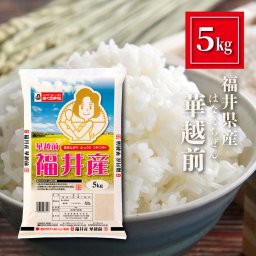 【福井県産 華越前 お米 5kg】送料無料 ハナエチゼン はなえちぜん 5キロ お米 精米 白米 おくさま印 食品 国産