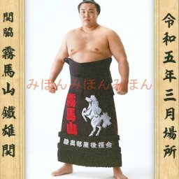霧馬山鐵雄関　優勝ミニ額 大相撲ミニ額 大相撲優勝額　令和５（２０２３）年３月場所 優勝 関脇 霧馬山 鐵雄 関（初優勝） ※受注生産品のため、ご注文後はいかなる理由でも返品、返金はできません