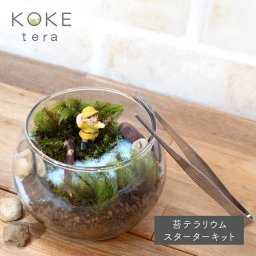 苔テラリウムキット冒険家 女の子の防水フィギュア付き