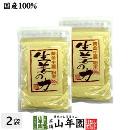 しょうが 粉末 国産 生姜の力 55g×2袋セット 黄金生姜100%の生姜粉末 しょうが 粉末 生姜力 ギフト 贈り物 健康 ダイエット お土産 ギフト プレゼント 内祝い おいしい ジンジャーティー チャイ お歳暮 プチギフト お茶 2026