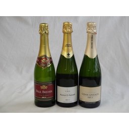 世界のスパークリングワイン白辛口3本セット エレタット・エル・パドルウェル カヴァ ブリュット （スペイン）ポール　ブレハン　ブラン・ド・ブラン（フランス） ハウメ・セラ　ブリュット・ナチューレ(スペイン)辛口750ml×3本
