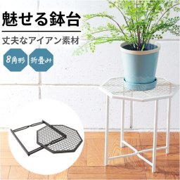 プランツスタンド アイアン 通販 オクト おしゃれ 植木鉢スタンド 鉢植え 植木鉢 ガーデニング 観葉植物 鉢台 植物台 プランツ メッシュ台 ホームプランツ POSH LIVING 屋内 屋外 シンプル スタンド 飾り台 ナチュラル インテリア