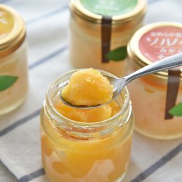 【送料無料】伊藤農園 凍らせて食べるなめらか寒天ソルベ 8個【アイス】【誕生日 結婚祝い 出産祝い 還暦祝い 結婚記念日 送別会 お祝い 引越し祝い 新築祝い 初節句 古希 喜寿 傘寿 お返し 内祝い お見舞い 快気祝い 金婚式 銀婚式 パーティー 景品 賞品 グルメ 母 父 女性 男性】【敬老の日 残暑見舞い】