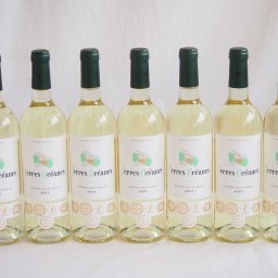7本セット(格上フランス5冠金賞受賞 白ワイン テールオセアン) 750ml×7本