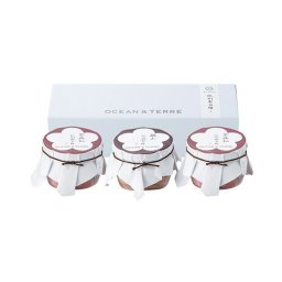Ｐｒｅｍｉｕｍ　紀州南高梅セットＤ　ブライダル 記念品 引き出物 内祝い 内祝 プチギフト 縁起物 お祝い 御祝 快気祝い