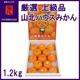 厳選　上級品[A-056] 【市場直送便】山北ハウスみかん／1.2Kg化粧箱詰め　S～M／元木青果／みかん／山北／高知／産地直送／プレゼント／贈答／御祝い【ギフト】【内祝】【結婚祝い】【お誕生日】【御中元】【グルメ】