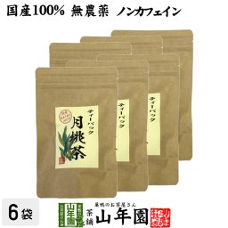 【国産 100%】月桃茶 2g×20パック×6袋セット ティーパック ノンカフェイン 沖縄県産 無農薬 月桃 月桃水 健康茶 妊婦 ダイエット ティーバッグ サプリ 苗 セット ギフト プレゼント プチギフト お茶 敬老の日 2026 内祝い お返し