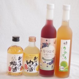 おばあちゃん梅酒飲み比べ4本セット(おばあちゃんのゆず酒 おばあちゃんの梅酒 日本酒ブレンド仕込うめとろ 日本酒ブレンド仕込なつはぜふるーてぃ) 300ml×2本 500ml×2本
