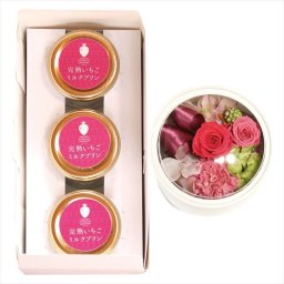完熟いちご菓子研究所 母の日遅れてごめんね 完熟いちごミルクプリン＆プリザーブドフラワー KJ-MPR3PRZ  ※お届け日5/15～17※日付指定不可 送料無料 母の日 父の日 ギフト お取り寄せ スイーツ