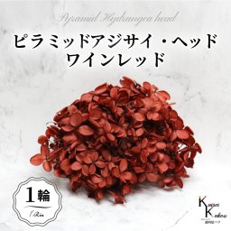 宅急便で発送 大地農園！プリザーブドフラワー 「ソフトピラミッドアジサイ ワインレッド 1輪分」 プリザ アジサイ 紫陽花 花材 ハーバリウム おしゃれ かわいい プレゼント 贈り物 オオチノウエン ソフトピラミッドアジサイ・ヘッド