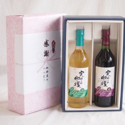 冬の贈り物お歳暮 感謝の贈り物ボックス 山梨県産デラウェア種辛口白ワインと国産ワインセット(実りの収穫 赤ワイン やや甘口(山梨県)720mlシャンモリ実りの収穫辛口白ワイン9度 720ml