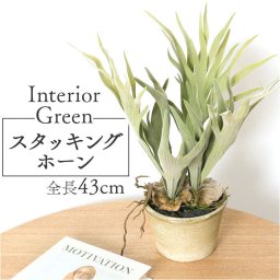 観葉植物 フェイク 大型 通販 フェイクグリーン スタッグホーン アーティフィシャルグリーン コウモリラン インテリアグリーン 人工観葉植物 大きめ 鉢植え ポット リビング ディスプレイ おしゃれ GLA-1364 スタッキングホーンポット ポピー YDM