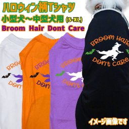 ハロウィン柄！犬用Tシャツ BROOM-HAIR-DONT-CARE ワンズプリント/WANS PRINT halloween ハロウィーン風ロゴ 犬服 超小型犬～中型犬 S～XL 4色展開 リンクコーデ メール便送料無料 【返品、交換、キャンセル不可】
