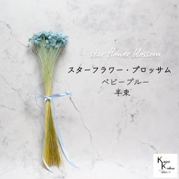 大地農園　「スターフラワー ブロッサム ベビーブルー 半束」  小花 ドライフラワー ハーバリウム アロマワックスバー サシェ キャンドル 花材