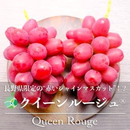 長野県産 クイーンルージュ 4房セット ｜ 1房約450-500g 国産 ｜ フルーツ ギフト プレゼント お礼 お祝い お見舞い