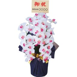 【直送】アーティフィシャルフラワー 大輪 [26-0242-056] 3本立 胡蝶蘭 立札付き お名入れ 造花 鉢植え 触媒加工 空気清浄 水やり不要 軽い 持ち運び簡単 プレゼント ギフト