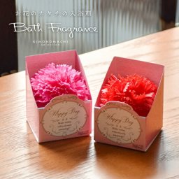 お花の形の入浴剤 バスフレグランス「カーネーションバスフレグランスPetit（プチ）781476  1.赤・2.マゼンタピンク 全2種」ボックス入り フラワーアレンジメント プレゼント プチギフト 母の日 誕生日プレゼント バレンタイン【メール便不可】