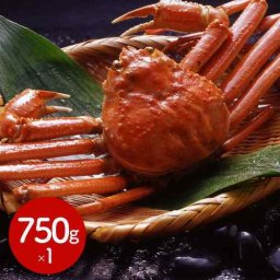 カナダ産 ボイル ずわいがに 姿 750g 超特大 極上 蟹 カニ ギフト ごちそう お歳暮 お正月 急速冷凍 旨み凝縮