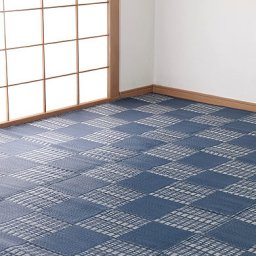 アレルゲン対策 洗える カーペット ラグ マット 日本アトピー協会推薦カーペット ウィード 日本製 江戸間4.5畳 261×261cm　送料無料