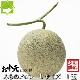 メロン 富良野メロン　２Lサイズ　1玉入り　送料無料